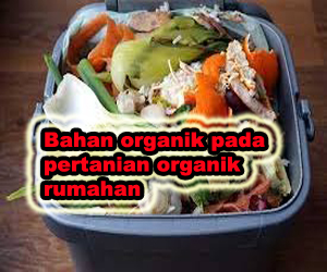 bahan organik