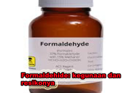 kegunaan formaldehide