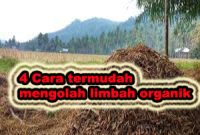 cara mengolah limbah organik