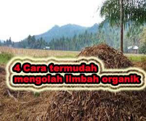 cara mengolah limbah organik