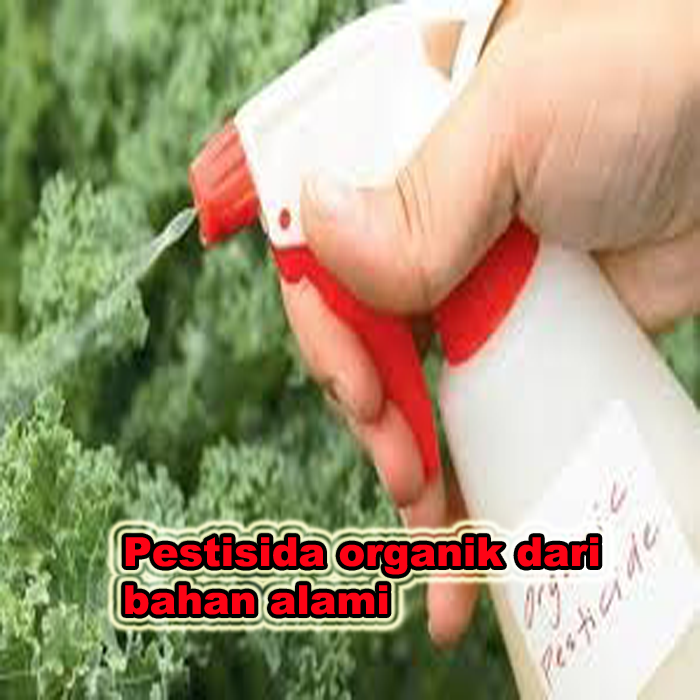 pestisida organik