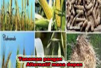 tanaman pangan alternatif masa depan