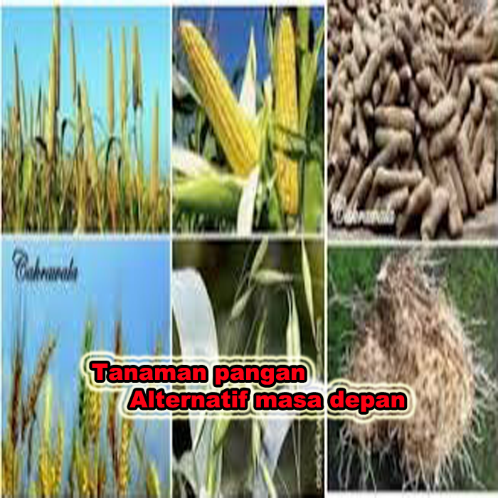 tanaman pangan alternatif masa depan